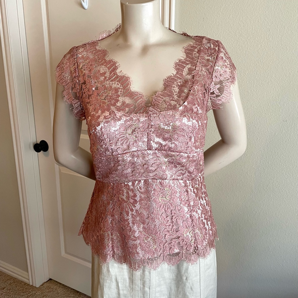 Nwt Ann Taylor Lace Blouse Top 6 $159
